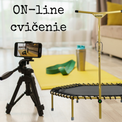 CVIČENIE online